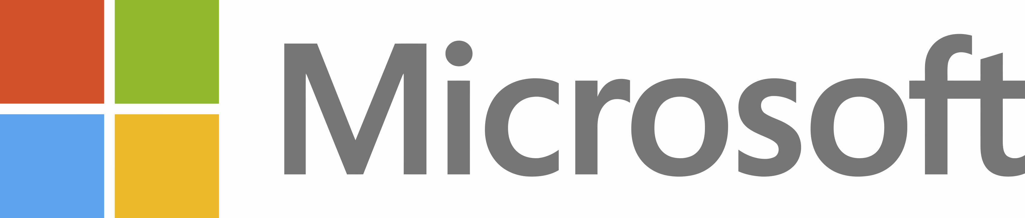 software company brand logo